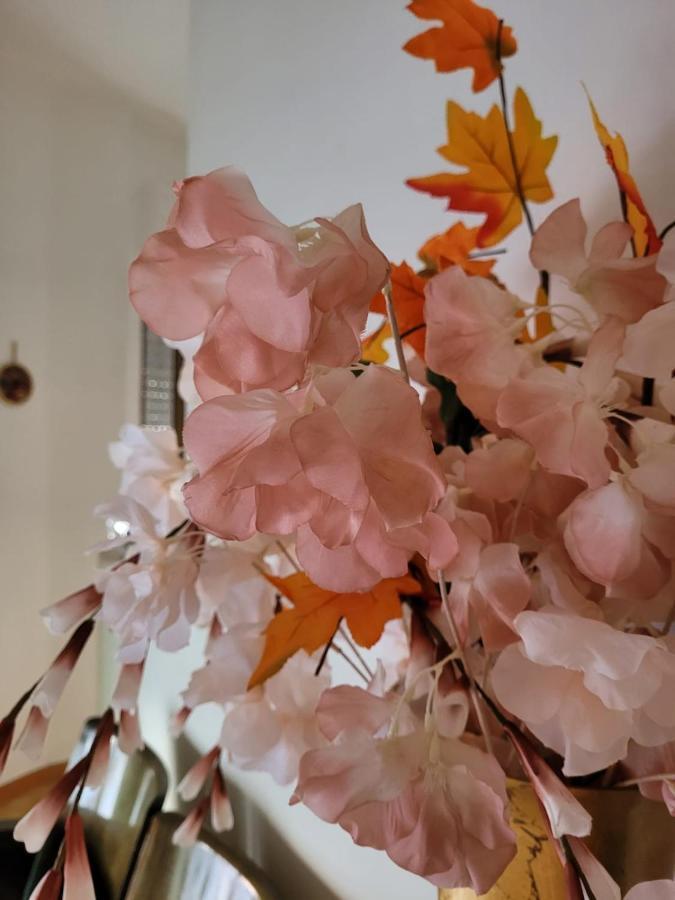 La Maison De Rose Turi Eksteriør bilde